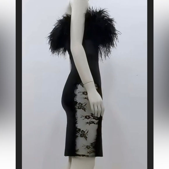 Black Strapless Ostrich Feather Trim Mini Dress with Lace Mesh Side Panels - Picture 7 of 8